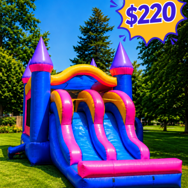 👑 Princess Palace Double Slide