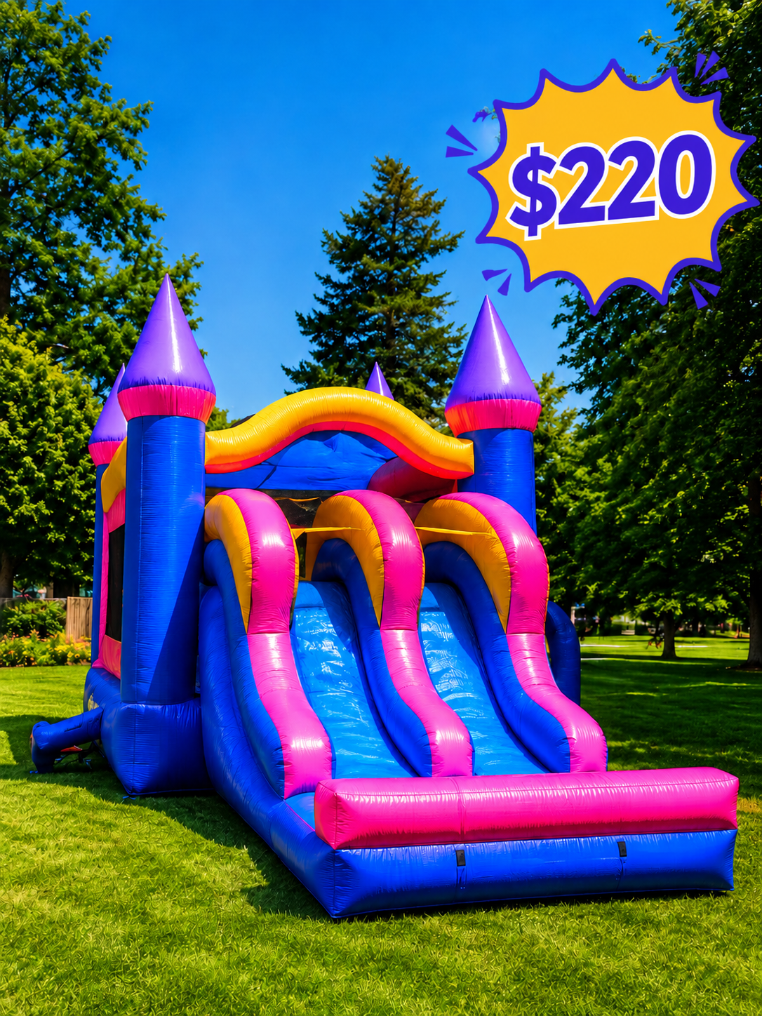 👑 Princess Palace Double Slide